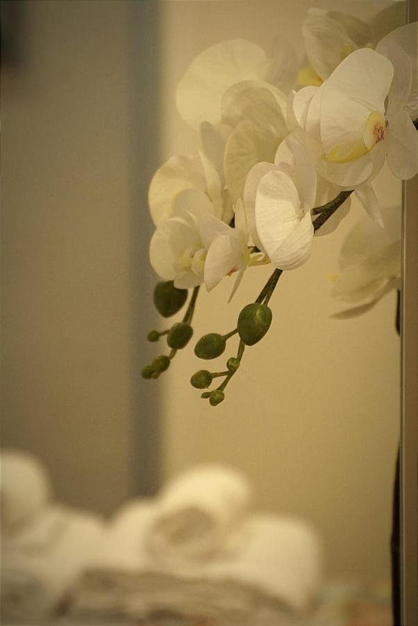 Apartamento Paula 바야돌리드 외부 사진