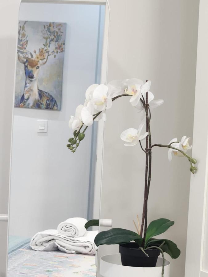 Apartamento Paula 바야돌리드 외부 사진